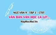 Văn bản văn học là gì? Hình thức nghệ thuật của văn bản văn học lớp 9